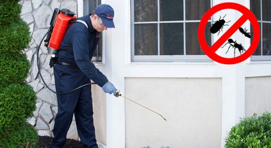 Balatçık Sivrisinek İlaçlama böcek ilaçlama ve haşere kontrolü — ilaclama-tr.com